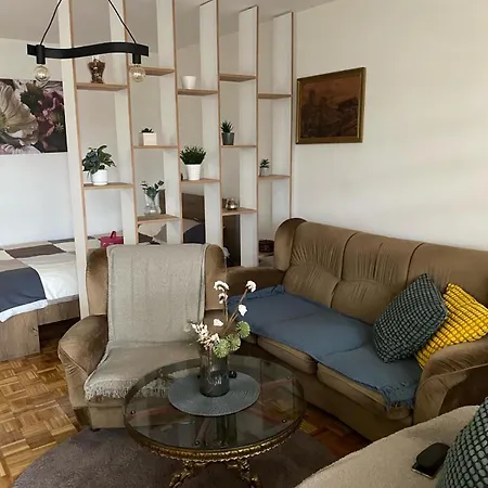 Comfy Apartment